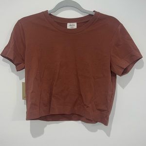 Aritiza Wilfred Free cropped t-shirt